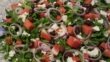 Romaine-rucola salat med vandmelon, feta, oliven, rødløg, pinjekerner og olivenolie dressing